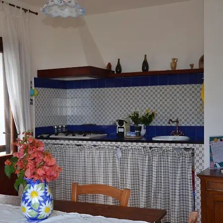 Bamboo Pantelleria